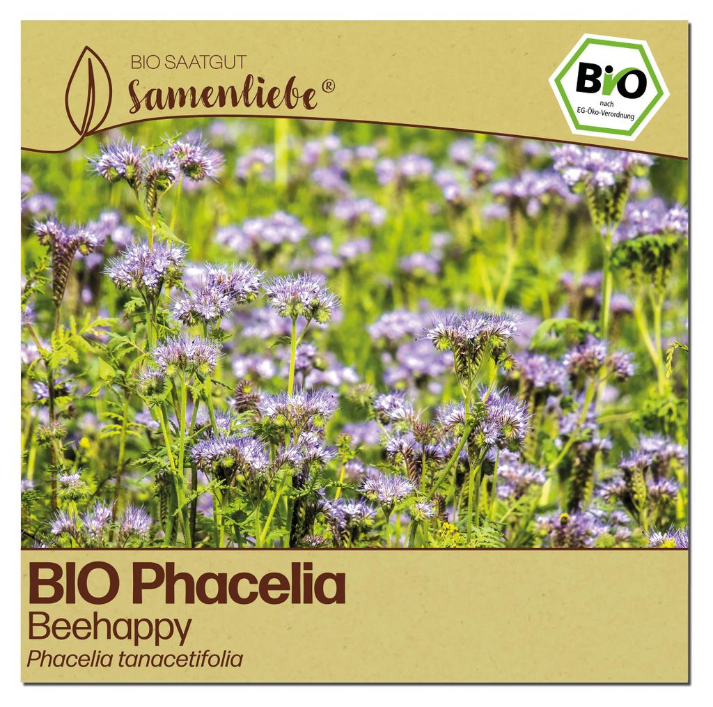 Samenliebe Phacelia Samen | Beehappy - samenfestes Saatgut
