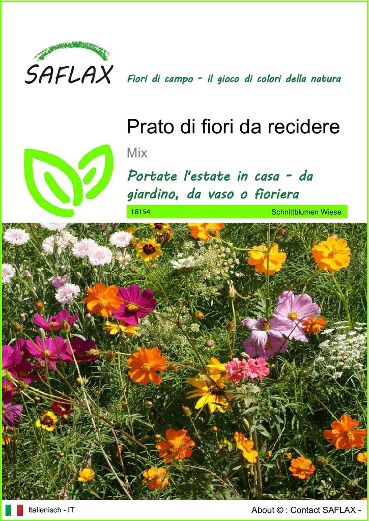 SAFLAX  - Prato di fiori da recidere - 1000 semi - Mix Immagine del prodotto 