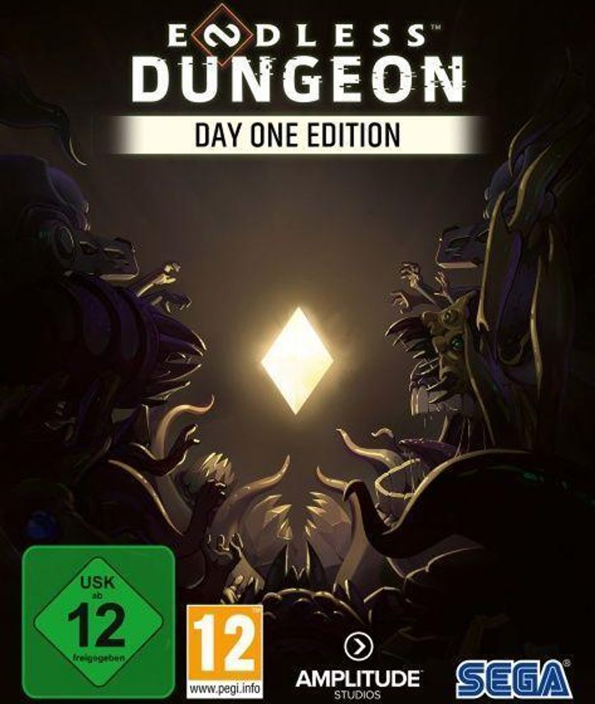 Endless Dungeon PC D1