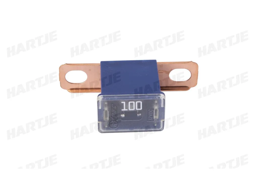 Fusible 100A pour installation solaire et batterie bornes à vis bleu