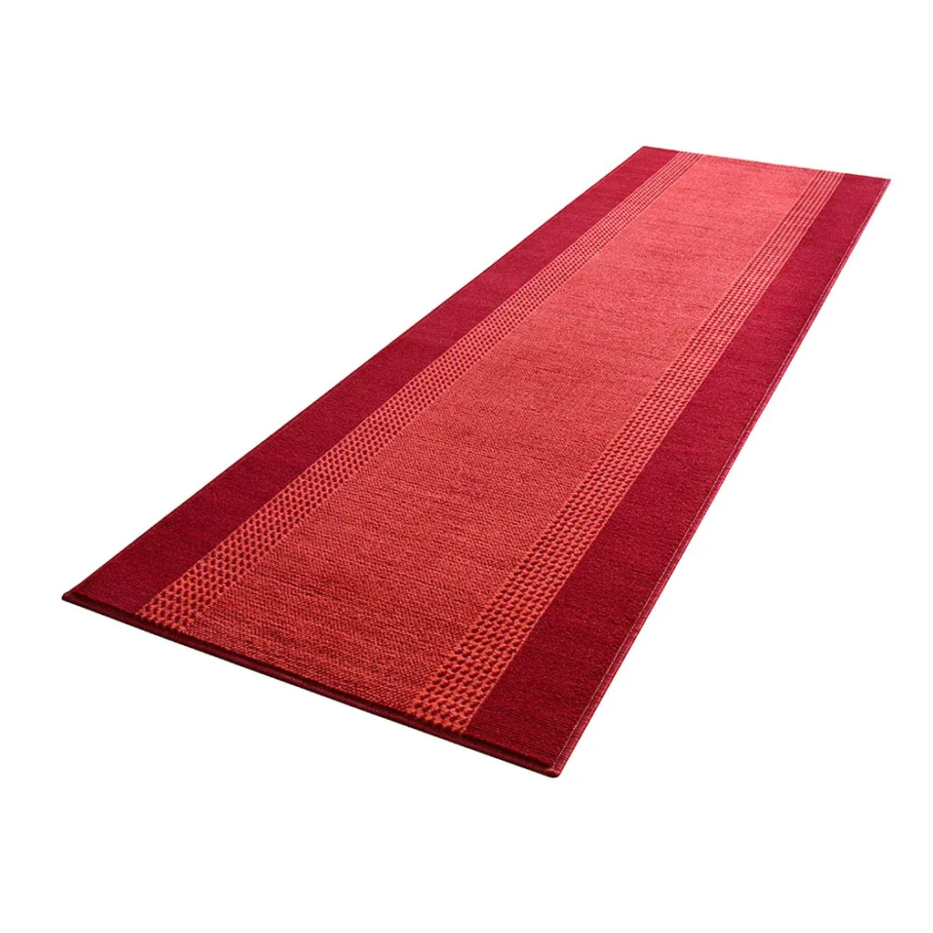 Tapis Rouge Robuste 80x300 cm pour Protéger vos Sols avec Style et Durée