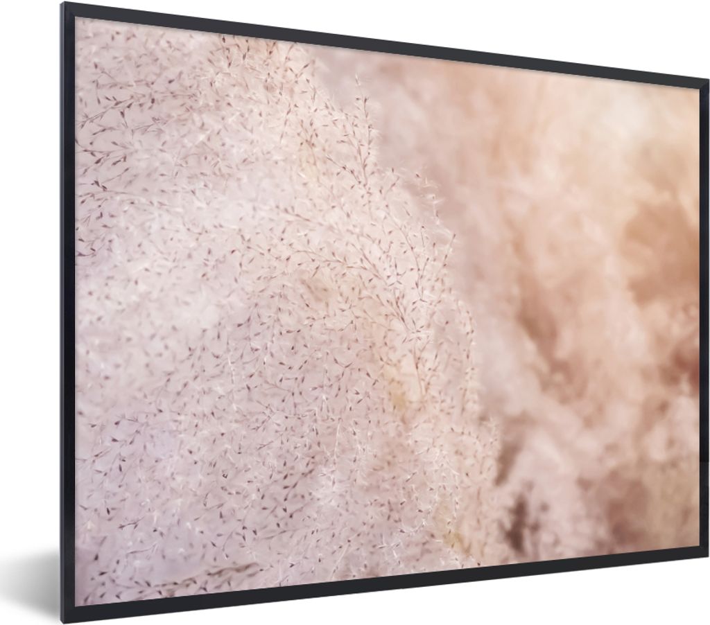 MuchoWow Gerahmtes Poster Pampasgras - Struktur - Pflanzen - Natur 80x60 cm - Poster mit Schwarzem Bilderrahmen Wandposter Rahmen Foto Bilder - S...