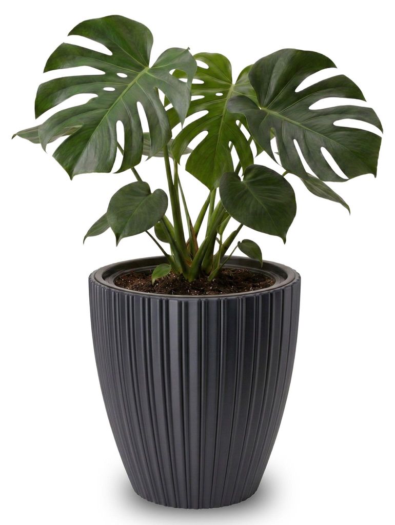 Großer Outdoor Blumentopf ZENTO schwarz in 29 x 32 cm