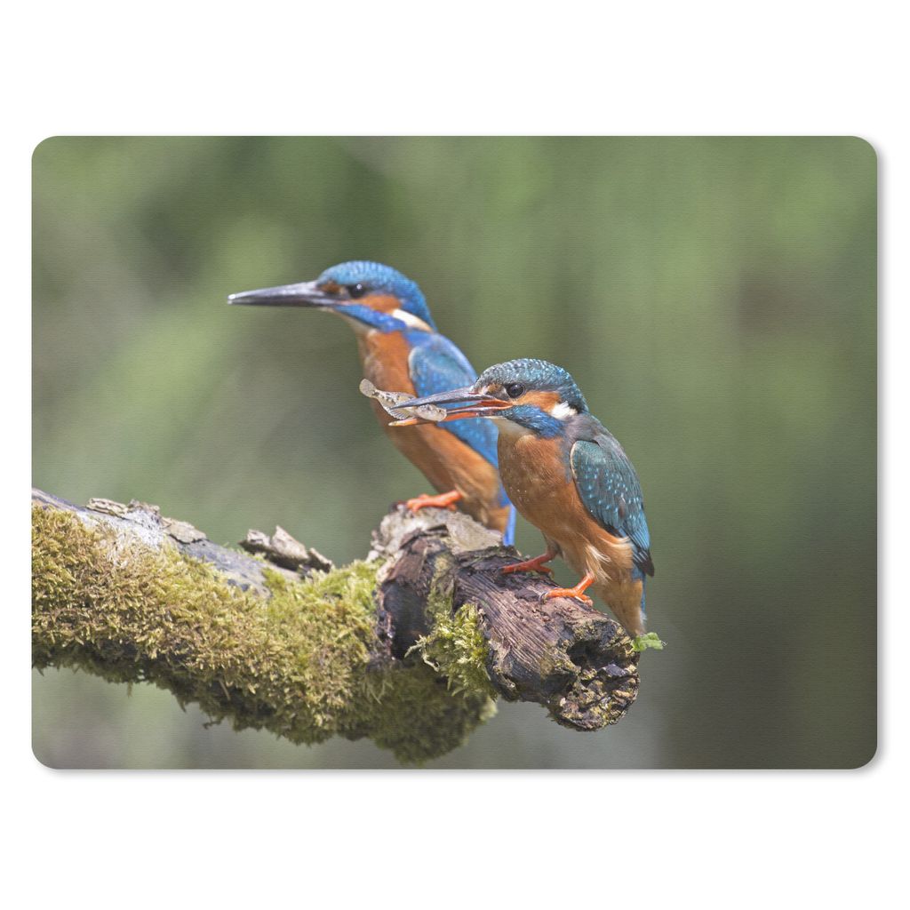 MuchoWow Mauspad Mousepad Eisvogel - Fisch - Zweig 40x30 cm - Mousepads - Maus Mat - Pad - Mausunterlage - Anti Rutsch