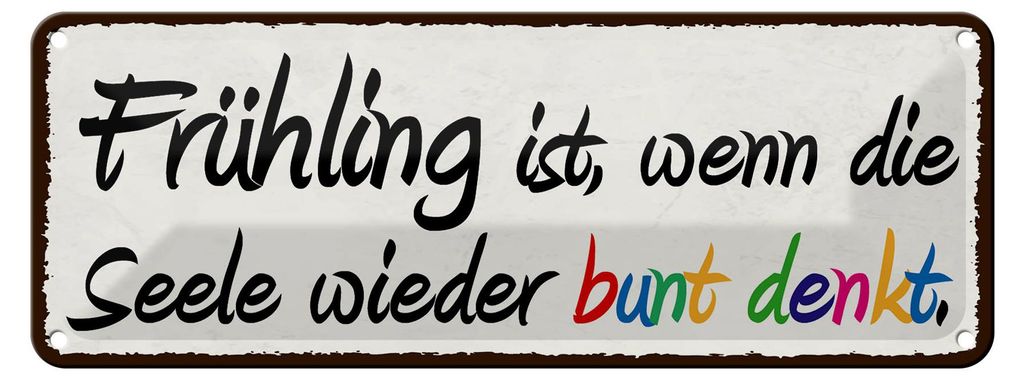 Blechschild Spruch 27x10cm Frühling wenn Seele bunt denkt Dekoration
