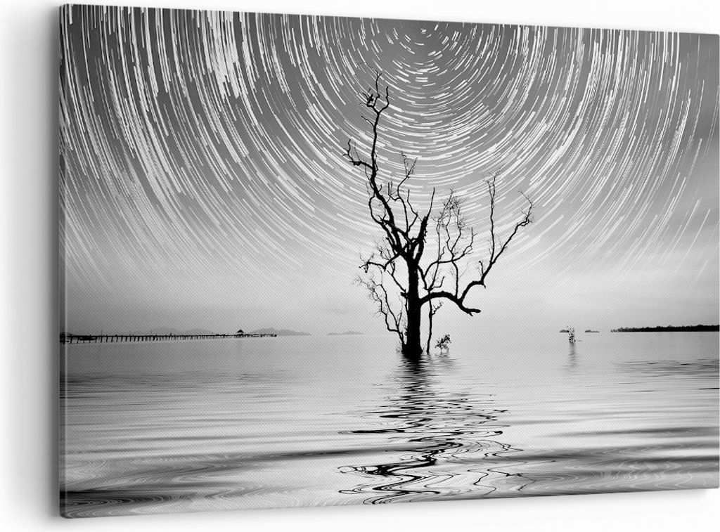 Bild auf Leinwand - Leinwandbild - Einteilig - Schwarzweiß Baum See - 120x80cm - Wand Bild - Wanddeko - Wandbilder - Leinwanddruck - Bilder - Wand...