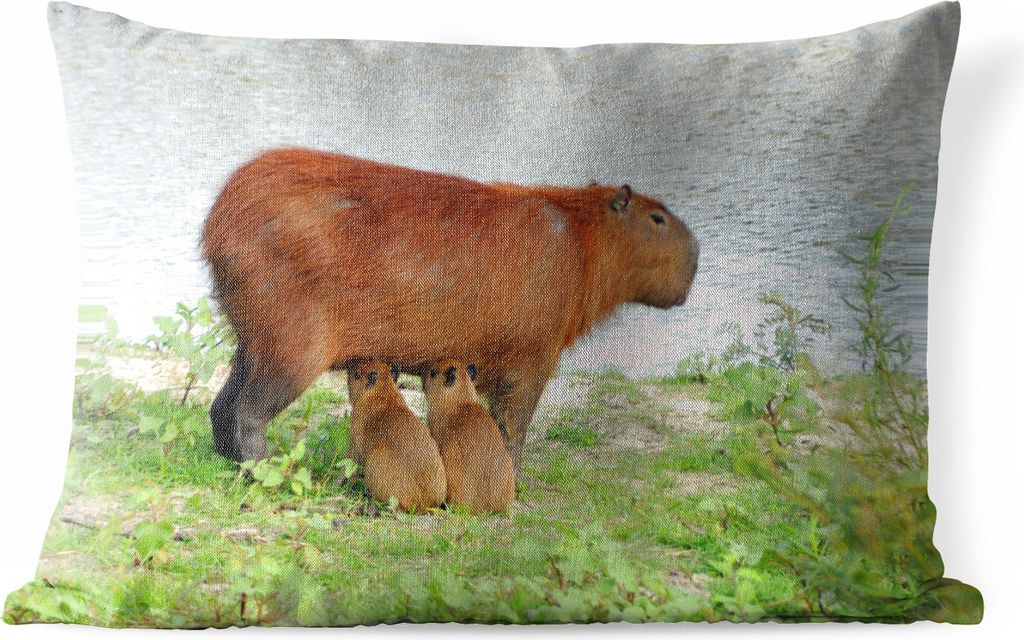 MuchoWow Outdoor Kissen - Ein Wasserschwein mit zwei Jungtieren in der Nähe des Wassers - 50x30 cm - Wetterfest - Lounge Kissen - Sofa kissen - ...
