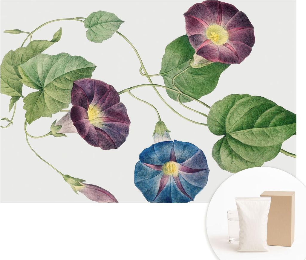 Fototapete - Wandbilder für Wohnzimmer - 152x104 cm - Dekorative Wandfolie - Modernes Design für Wanddekoration - Tapeten für Innenräume - Flor...