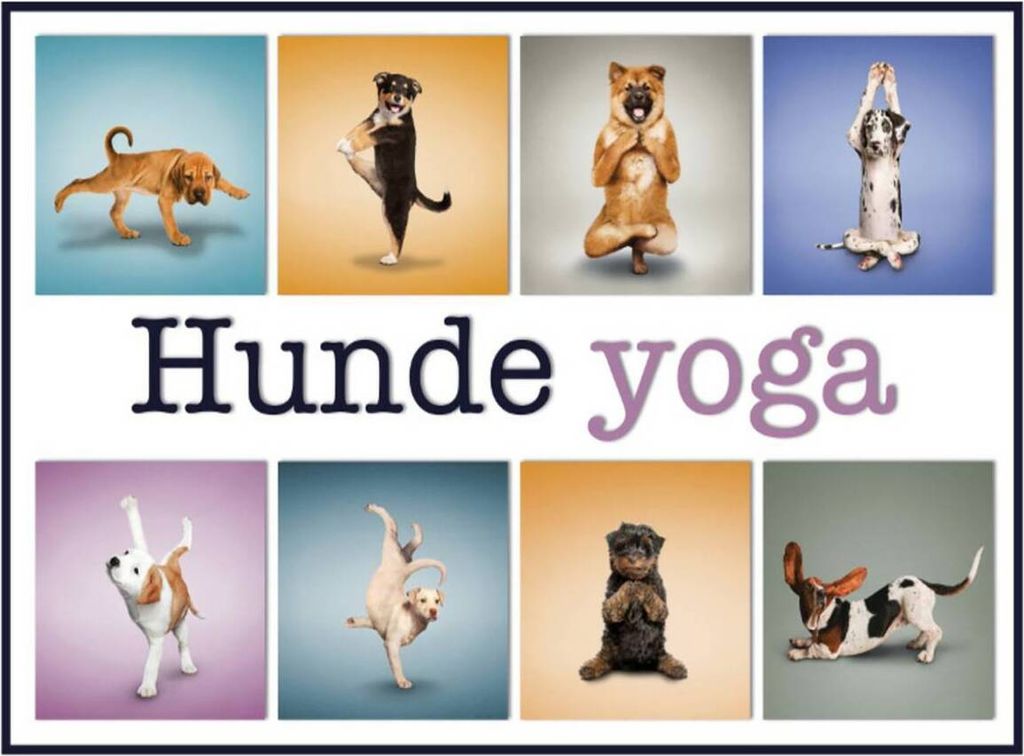 vianmo Holzschild 30x40 cm Katze Hunde Yoga