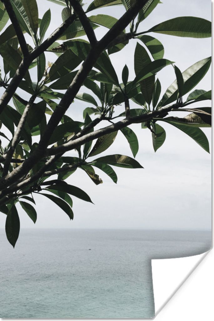 MuchoWow Poster Baum - Laub - Meer 20x30 cm - Papierdruck