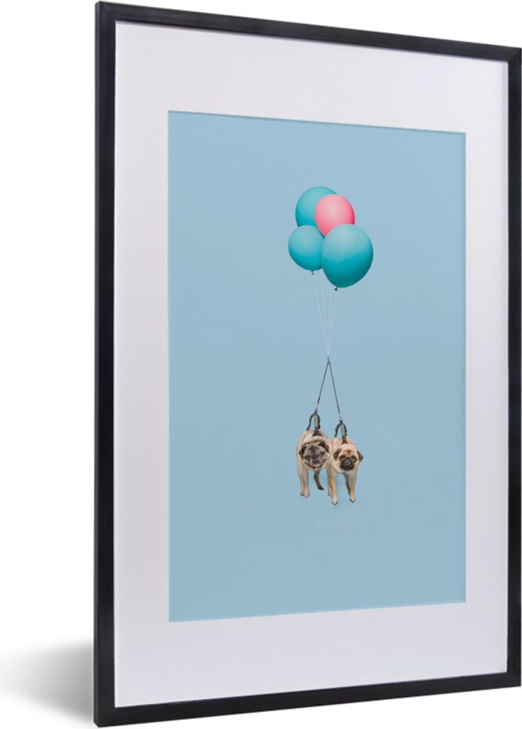 MuchoWow MuchoWow Gerahmtes Poster Zwei Möpse auf blauen und rosa Luftballons 40x60 cm - Poster mit zchwarzem Bilderrahmen - Poster in Rahmen