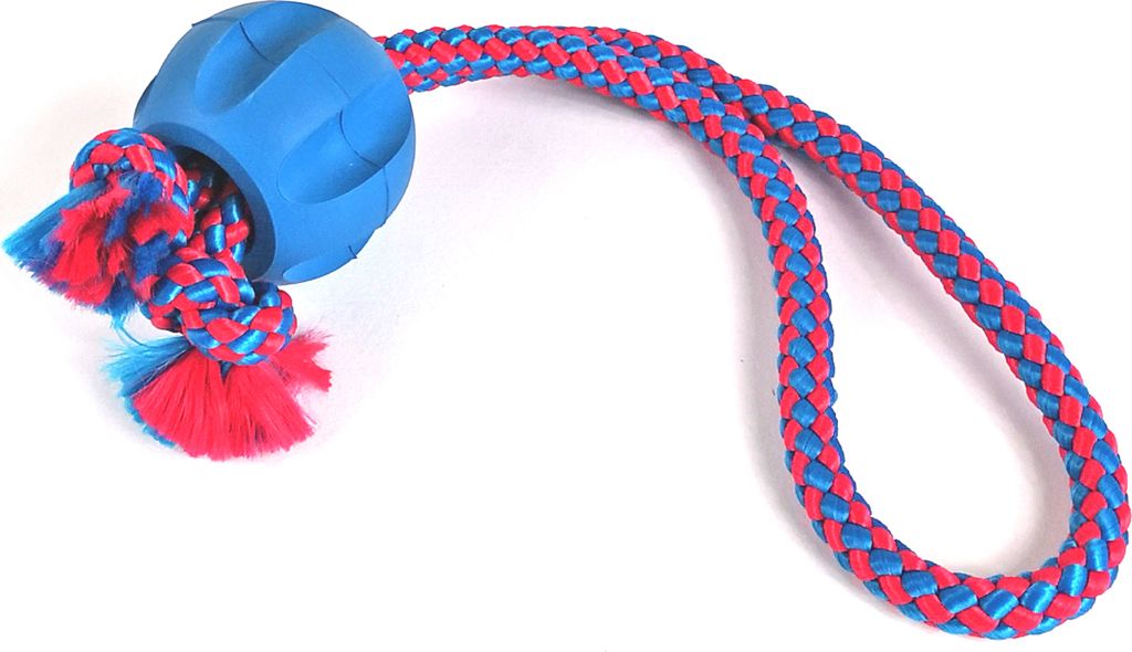 GarPet Hundespielzeug Wurfspielzeug Schlaufe mit 1 Ball, 5,2 x 30cm, Blau Rot