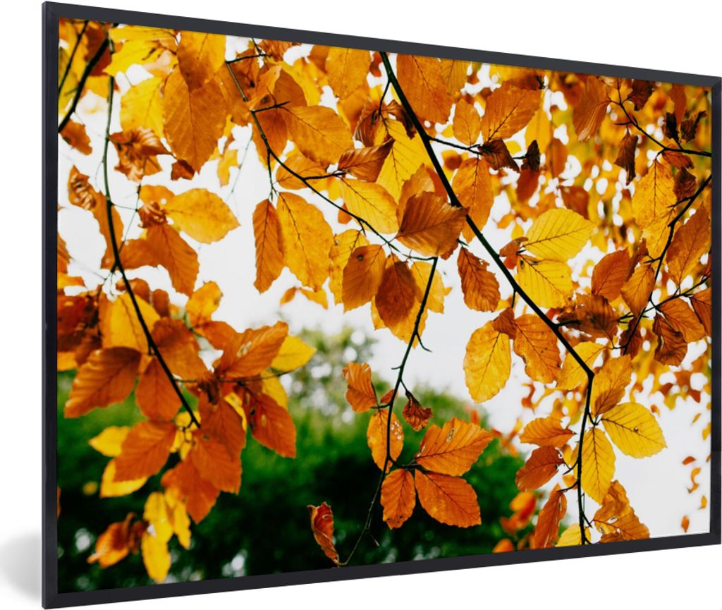 MuchoWow Gerahmtes Poster Herbstblätter - Baum - Rustikal 60x40 cm - Poster mit Schwarzem Bilderrahmen Wandposter Rahmen Foto Bilder - Printing ...