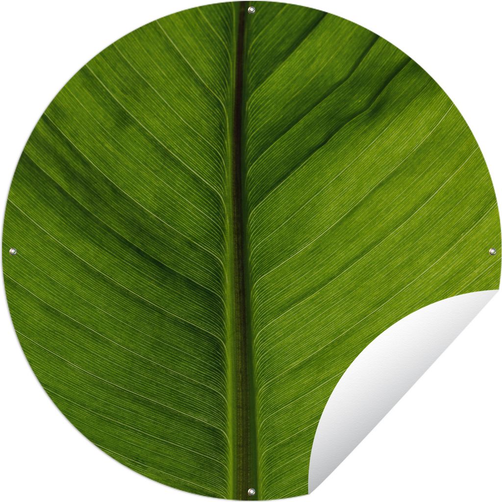 MuchoWow Gartenposter Outdoor-Poster Rund Blätter - Pflanze - Grün Ø 60 cm Gartendeko Rundes Poster draußen