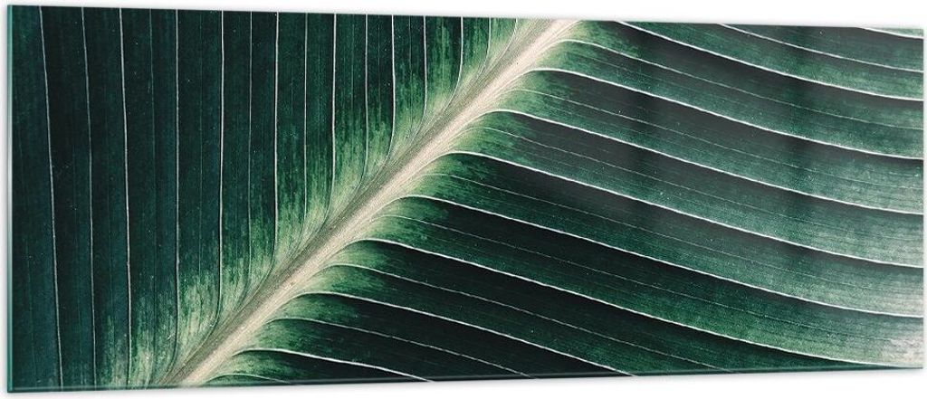 Bilder auf glas - Einteilig - Grün Blatt Tropisch - 140x50cm - Glasbilder - Wandbilder - Bilder - zum Aufhängen bereit - Wanddekoration aus Glas ...