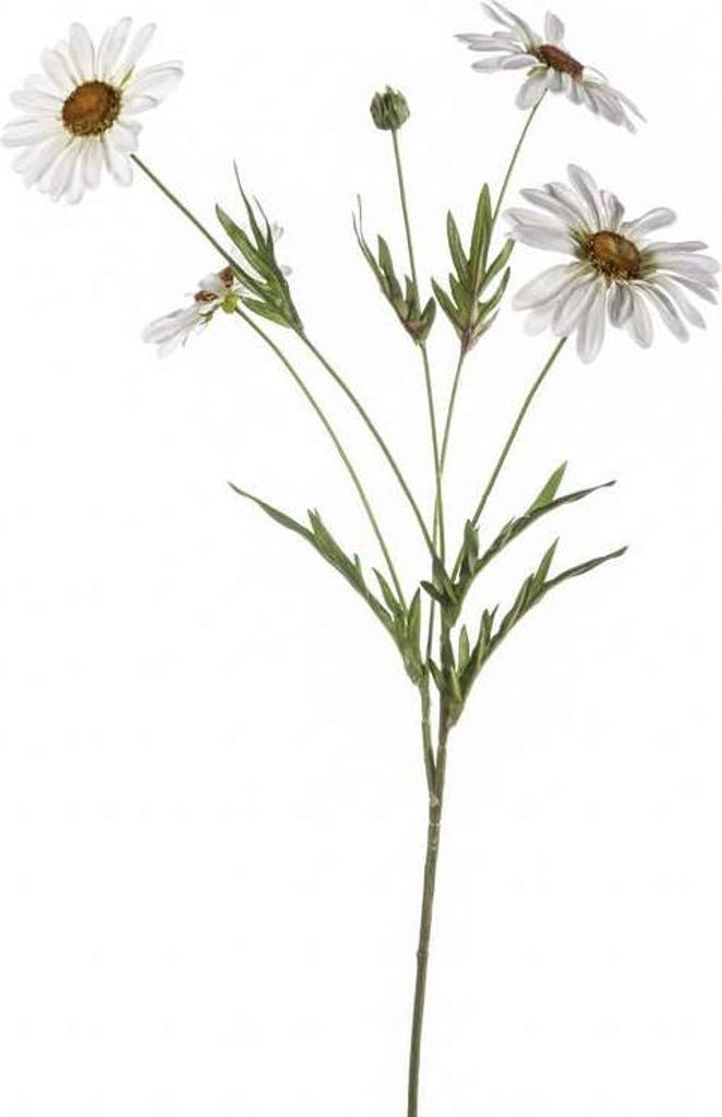 artplants.de Künstliche Blume Gänseblümchen NAROA, weiß, 80cm - Deko Margeriten