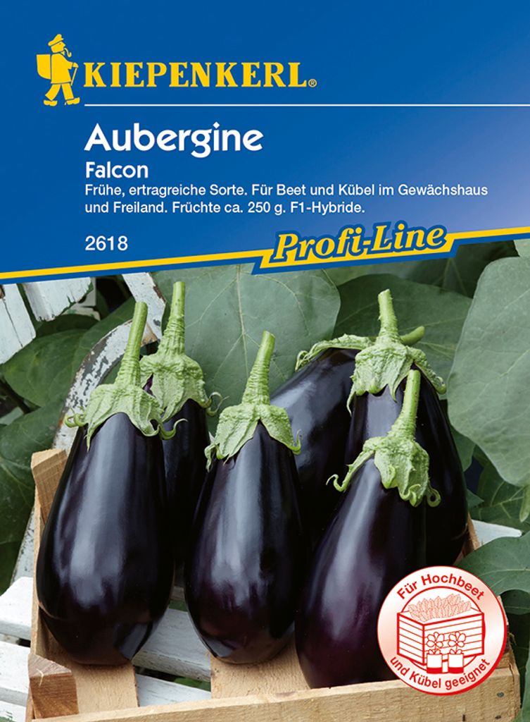 Aubergine Falcon Kiepenkerl Hybrid-Saatgut Gemüsesamen Produktbild 