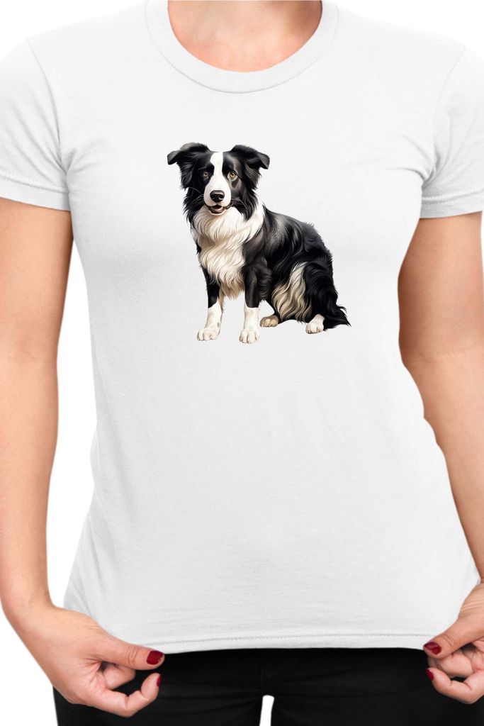 Damen T-Shirt Dogs Breeds Border Collie Dog Breed 008, Lady 2XL / Weiß