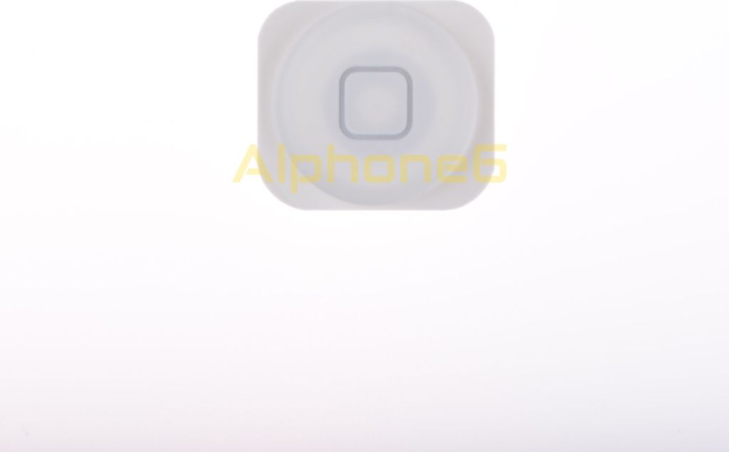 Für iPhone 5 / 5C Home ButtonTaste Weiss
