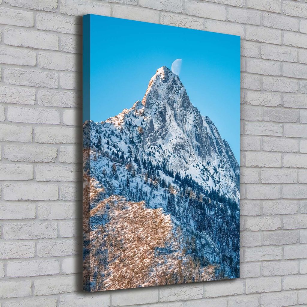 Tulup Leinwandbild - 70x100cm - Wandkunst - Drucke auf Leinwand - Leinwanddruck - Wohnzimmer Wanddekoration XXL - Wohnung Deko Kunstdrucke - Land...