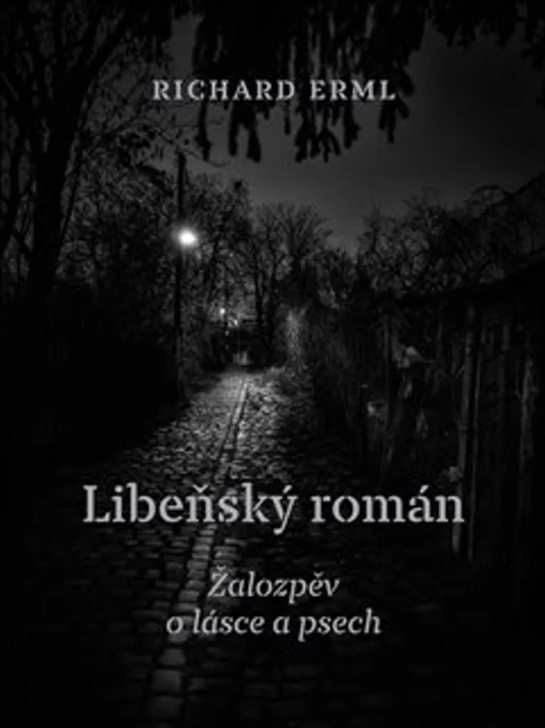 Livre Libeňský román Richard Erml : littérature tchèque contemporaine