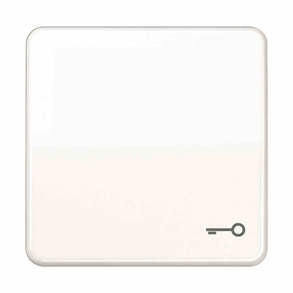 Bascule pour Interrupteur JUNG CD500 Blanc Brillant avec Symbole Serrure