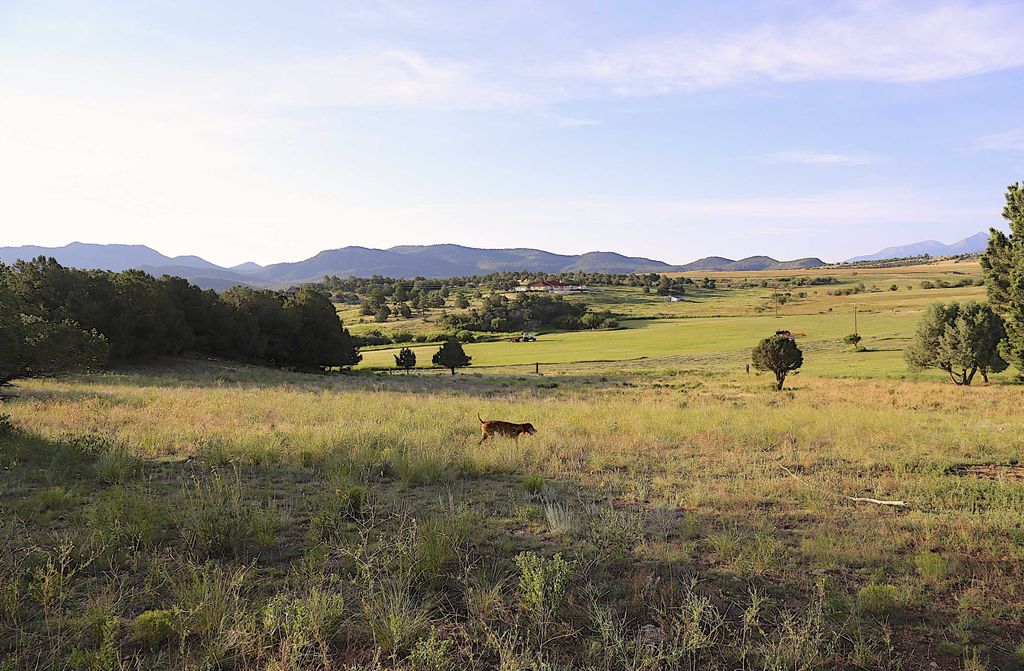 hansepuzzle 34988 - Landschaft Puzzle, 500 Teile, Natur, 46,0 x 30,0cm mit hochwertiger Aufbewahrung, Kartonbox und wiederverschließbarem Beutel