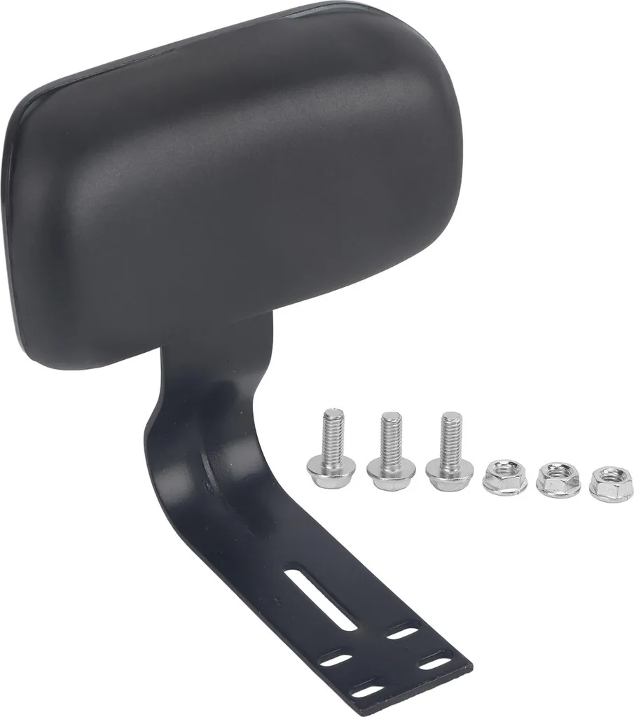 Schienale Passeggero Bici Elettrica con Supporto Metallo U-Shape Nero