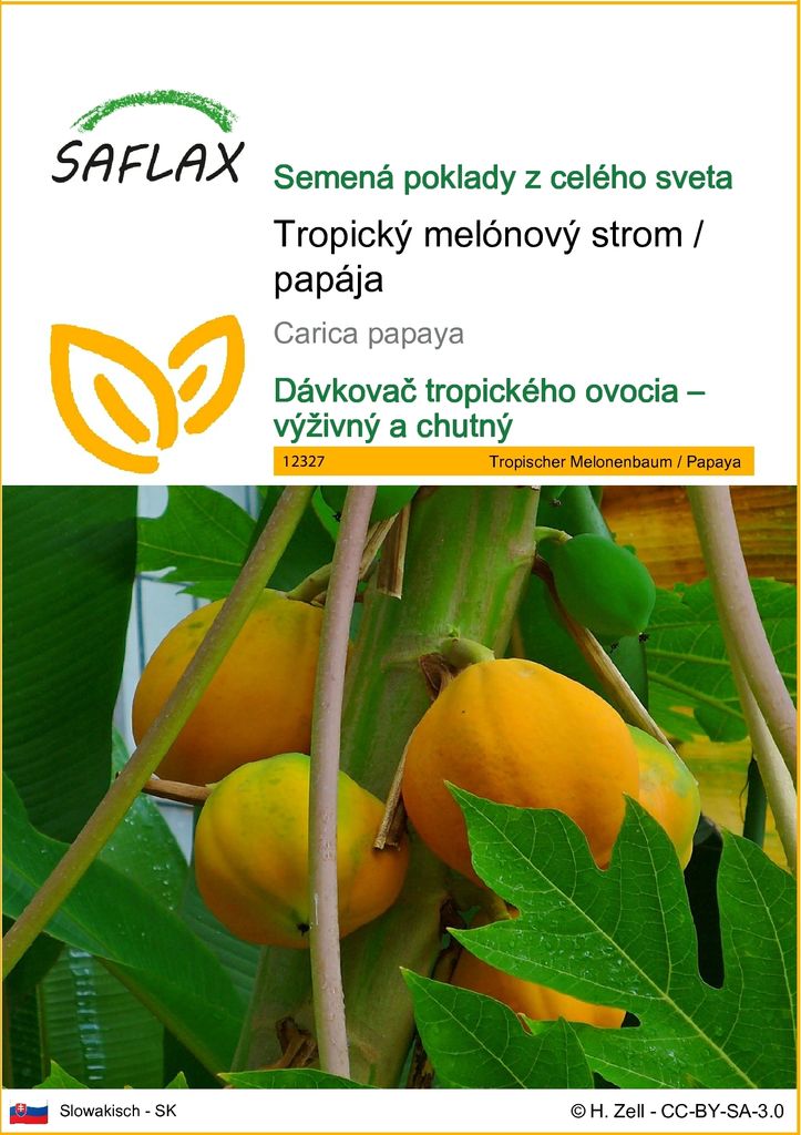 SAFLAX - Tropický melónový strom / papája - Carica papaya - Obrázok produktu 