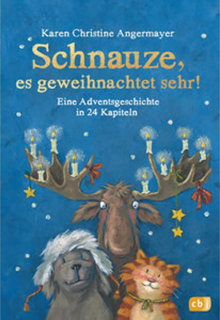 Livre enfant La ferme, c'est Noël avec illustrations grand format