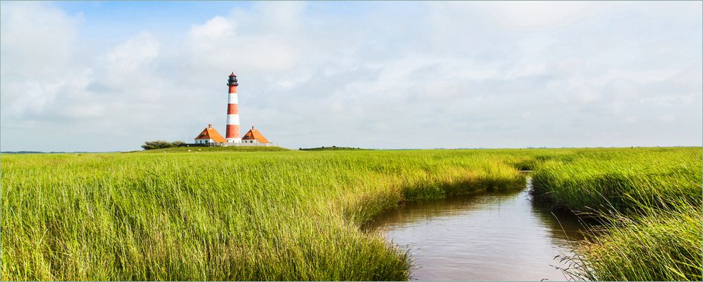 Wallario selbstklebendes Poster - Kleiner Bach durch Schilf auf dem Weg zum Leuchtturm, Größe: 80 x 200 cm