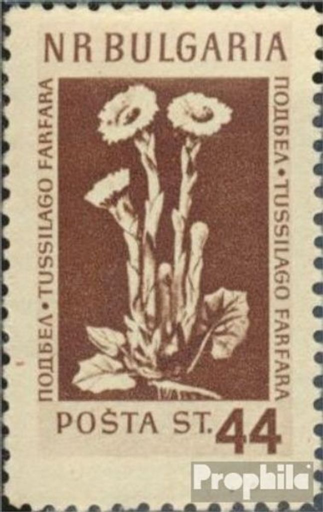 Briefmarken Bulgarien 1953 Mi 882 postfrisch Bergblumen und Heilpflanzen