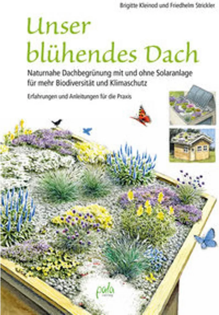 Toiture Végétalisée Extensive : Kit Sédum Unser Blühendes Dach 10m²