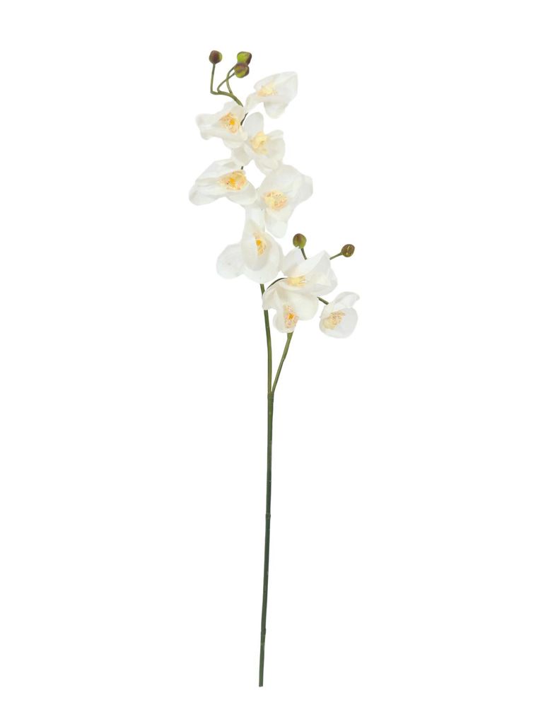 EUROPALMS Orchideenzweig, künstlich, creme-weiß, 100cm (82530323)