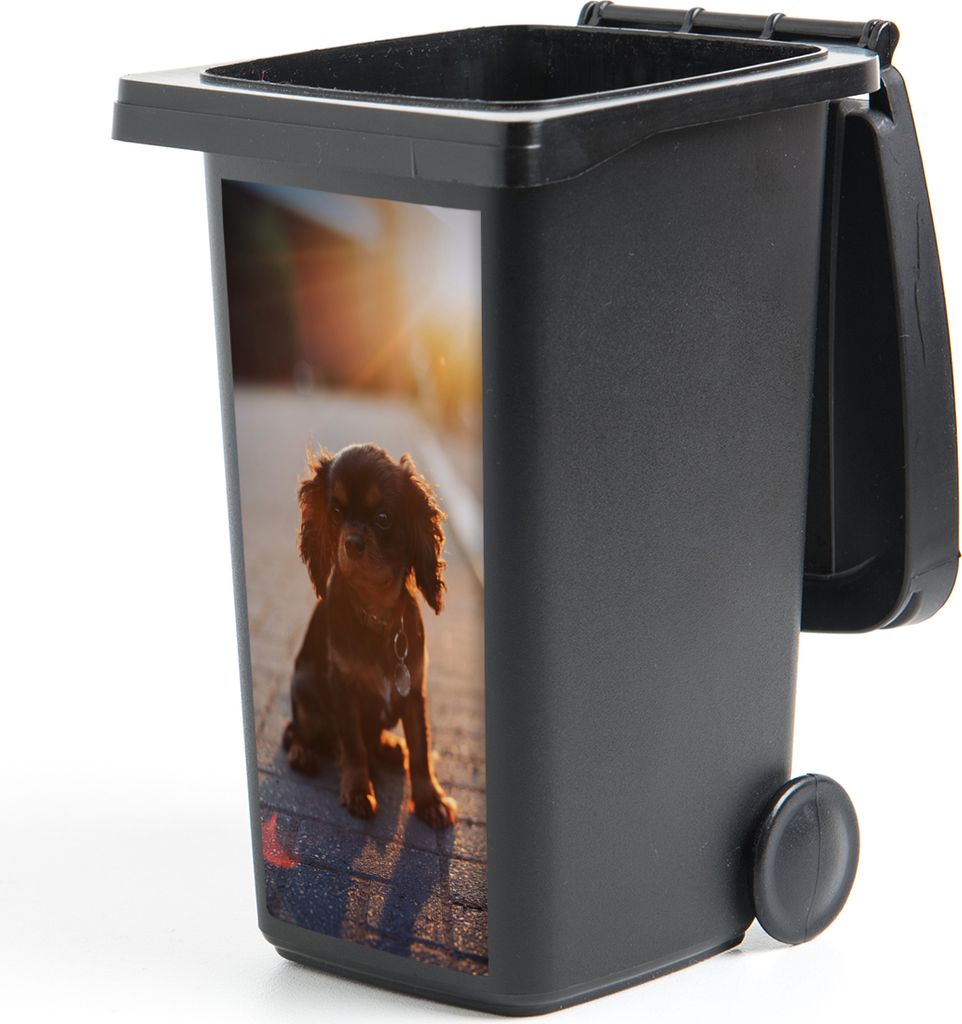 MuchoWow Mülltonnenaufkleber Sonnenschein über dem Cavalier King Charles Spaniel Welpen 44x98 cm - Containeraufkleber - Aufkleber - Mülltonnen...