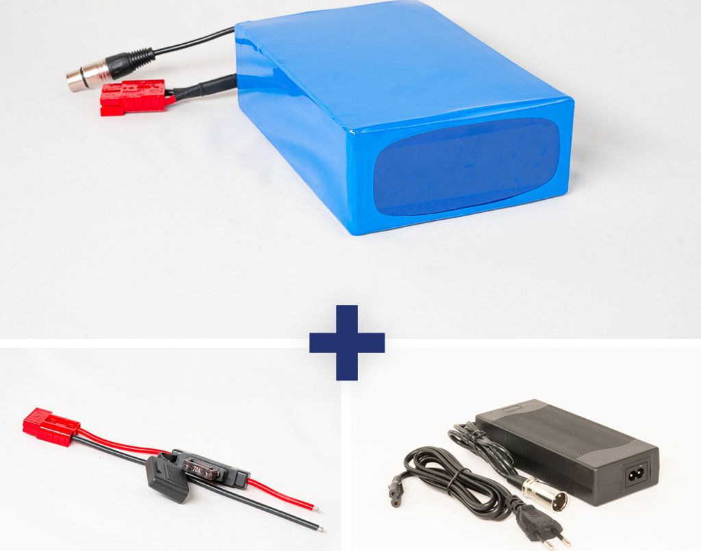 Lithium-Ionen Akku 36V 25Ah 900Wh Akkupack incl. 60A BMS & Ladegerät für E-Bike Scooter Pedelec