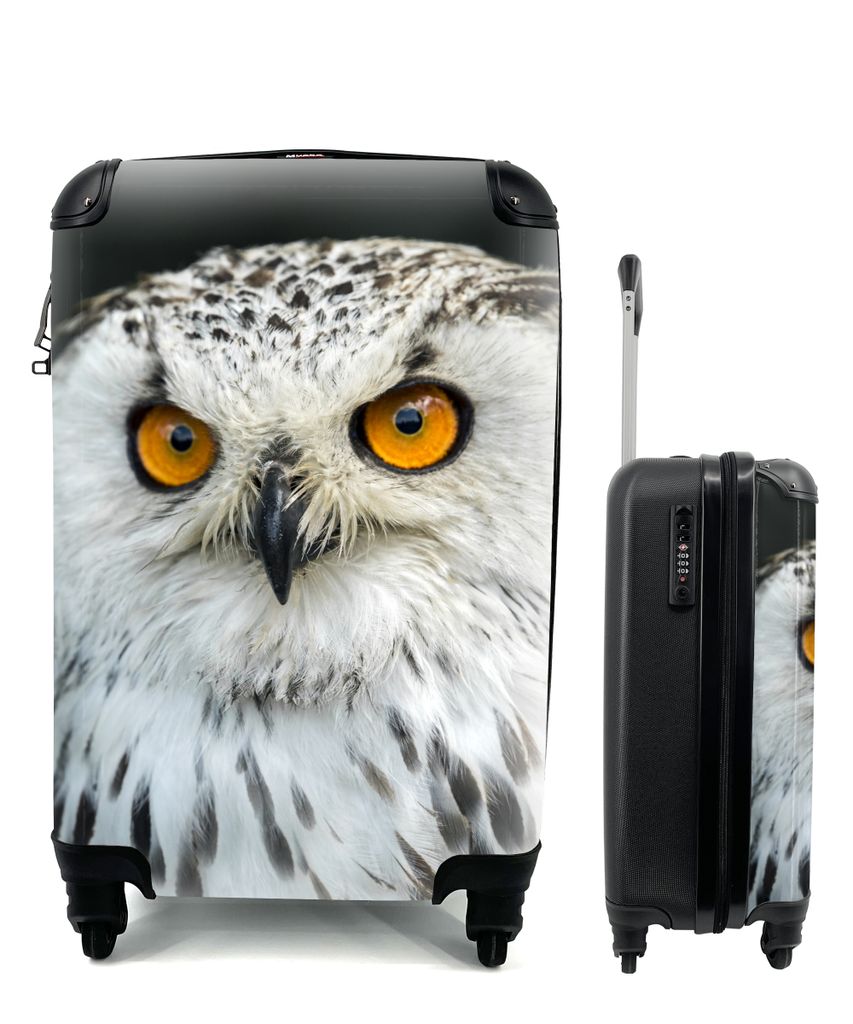 MuchoWow Koffer Handgepäck Trolley Rollkoffer Kleine Reisekoffer mit 4 Rollen - Eine braune Eule mit orangefarbenen Augen - Cabin Size < 55x40x2...
