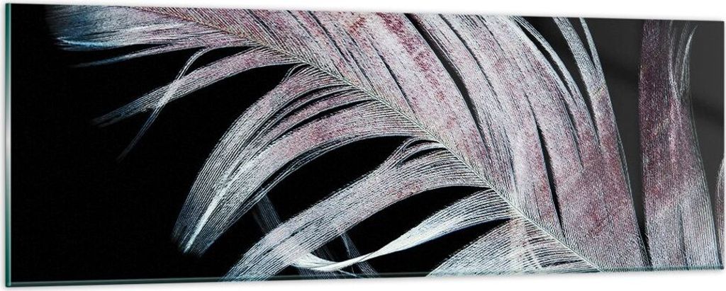 Bilder auf glas - Einteilig - Feder die Farben Zartheit - 90x30cm - Glasbilder - Wandbilder - Bilder - zum Aufhängen bereit - Wanddekoration aus G...