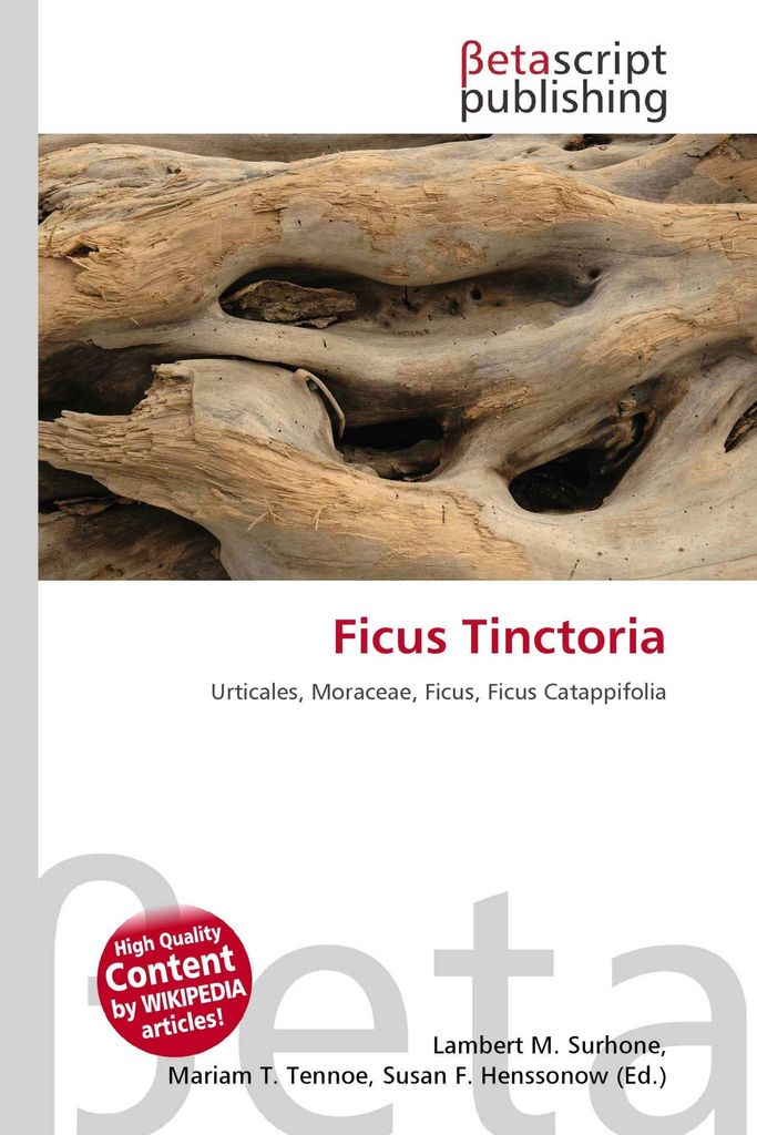 Ficus Tinctoria