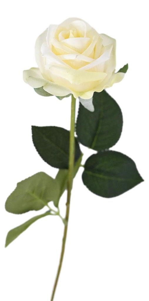Künstliche, realistische Rose, täuschend echt wirkender Rosenstrauß aus Seide, langstielige Kunstblume mit Blättern, ideal als Tischdekoration ...