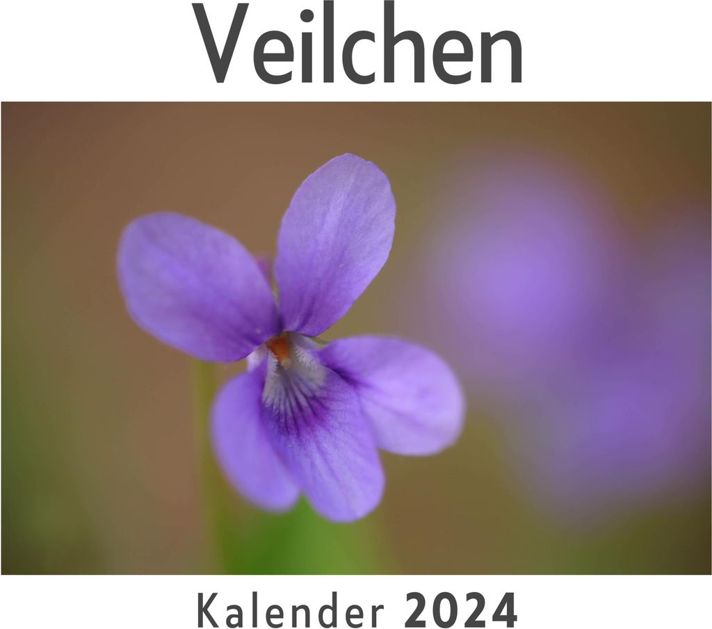 Veilchen (Wandkalender 2024, Kalender DIN A4 quer, Monatskalender im Querformat mit Kalendarium, Das perfekte Geschenk)