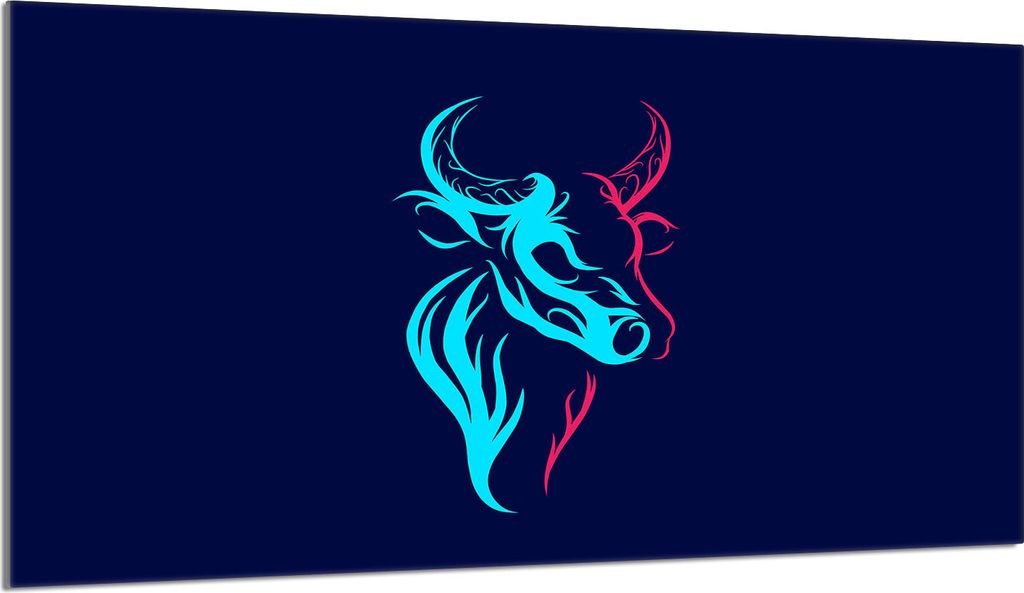 Glasschutzplatte für den Herd 90x52 Byk