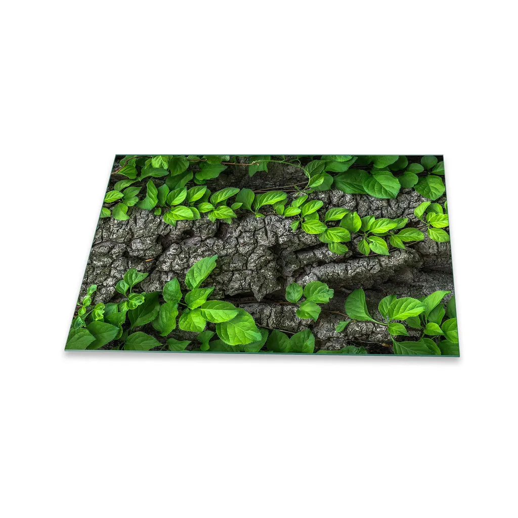 Piastra Copertura Vetro 80x52 Verde Naturale - Armonia in Cucina