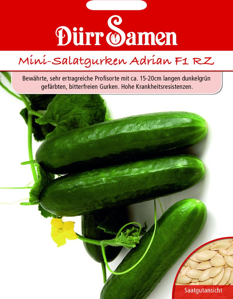 Dürr-Samen - Mini-Gurken Adrian F1 RZ - Saatgut - 1013 Produktbild 
