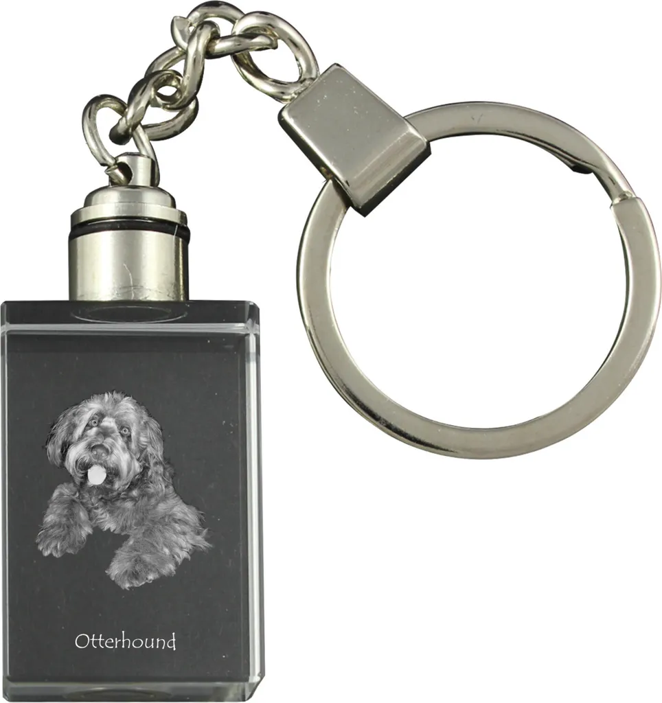 Offerta Portachiavi Cane Lontra Art-Dog Cristallo e Luce LED