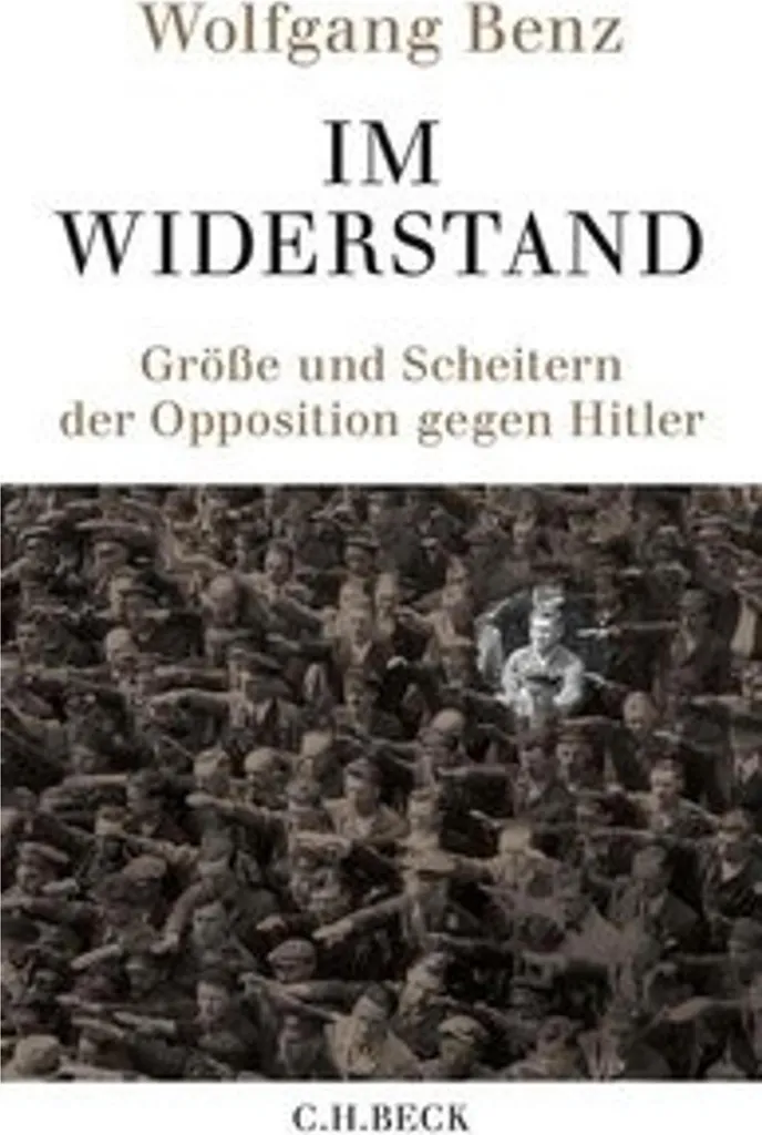 Essai politique Im Widerstand, l'analyse des mouvements de révolte