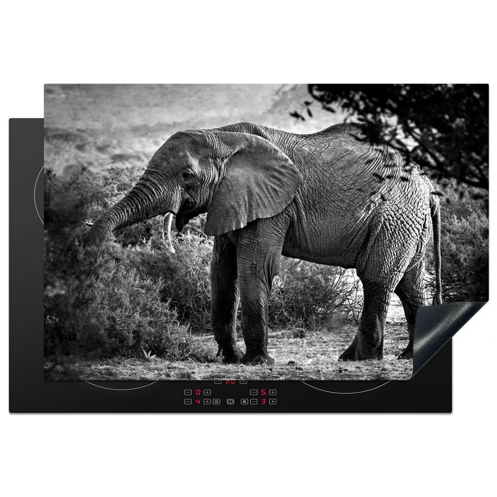 KitchenYeah Herdabdeckplatte Profil eines Elefanten in schwarz-weiß , 78x52cm, Küche Deko, Glaskeramikkochfeld Herdabdeckung, Abdeckplatte fùr...