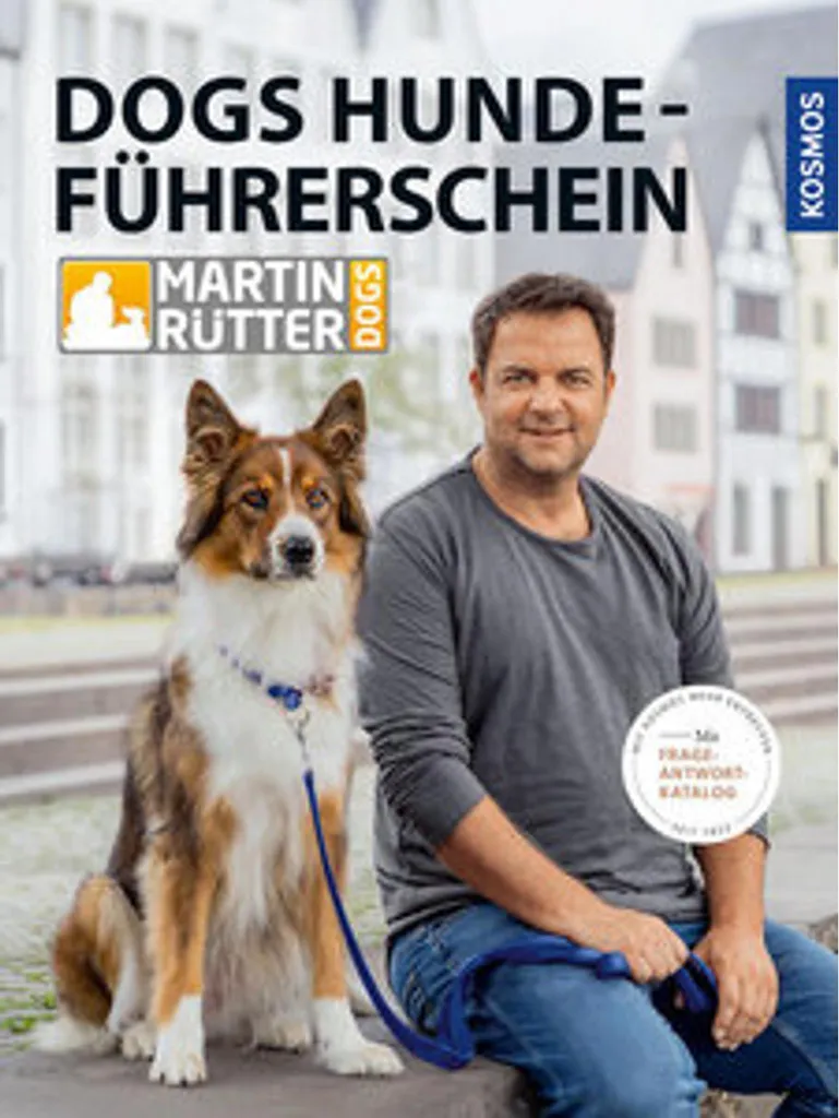 Hundeführerschein Rütter Dogs : Stopper les problèmes d'obéissance