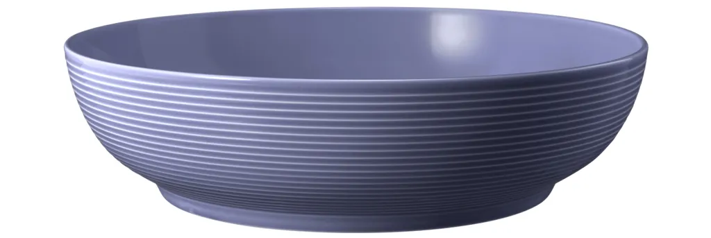 Seltmann Weiden Foodbowl Beat Fliederblau, Schale, Porzellan, 25 cm, 001.773732