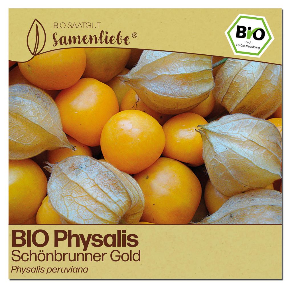 Samenliebe  Physalis Samen | Schönbrunner Gold - Produktbild 